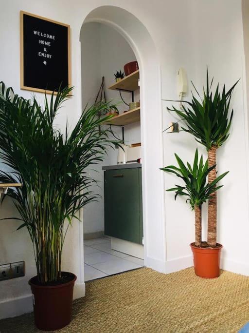 Appartement Mignon, Plein Centre بياريتز المظهر الخارجي الصورة